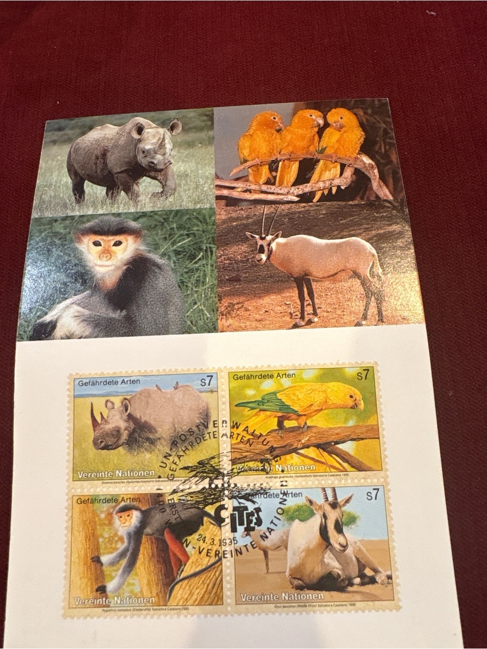 1995 UN Vienna Postcard Endangered Species CITES Stamps First Day Cancel